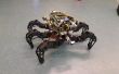 Spider Pig - autonome hexapod robot