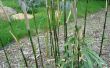 Bamboe barrière (gerecycleerd transportband)