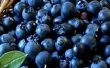 Zelfgemaakte blauwe bosbes wijn