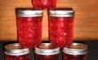 Appel kaneel Jelly-A geweldig alternatief voor Cranberry saus voor de vakantie