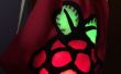 Radioactieve Raspberry Pi koord tas rugzak