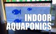 Indoor Aquaponics