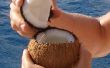 Hoe open je een kokosnoot