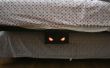 Monster onder het Bed
