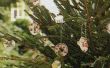 Goedkope 'gemakkelijk 'n ijzige' openlucht kerstboom ornamenten