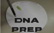 Papier schijf DNA voorbereiding