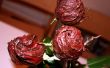 Eetbare chocolade bedekte rozen
