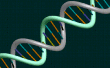 De wetenschap van DNA! 