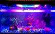Aquarium LED verlichting || Hoge intensiteit || Verbeteren van de vis kleur