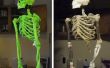 DIY skelet gemaakt van stokken, String, schuim en Mache'