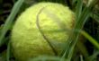 Awesome Tennis Ball Mortel