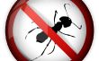 Ant Repellent '' natuurlijke '' methode * u moet slechts 10 tweede