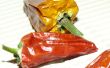 Spaanse peper drogen - Chillis gedroogd met behulp van verspilde warmte van een monitor