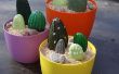Pebble cactussen voor dek of patio geschilderd