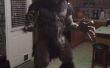 Weerwolf kostuum Halloween 2010