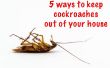 5 manieren om te houden van de kakkerlakken off uw huis