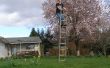 Hoe om het "evenwicht" op een ladder