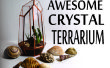 Geometrische Crystal Terrarium uit CD doosjes