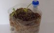 'Eleplant' overdekt hydrocultuur plantenbak
