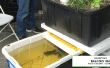 Aquaponic balkon tuin