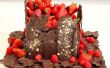 HOW TO MAKE CHOCOLADE BLAFT, BLADEREN, PLAAT! MIJN TUIN VAN CHOCOLADE CAKE! 