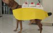 Make A Banana Split Dog kostuum