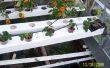 Hydoponic tuin - zwaartekracht feed