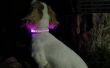 Leder Light-Emitting (LED) hond kraag
