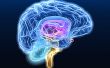Controle van alle gadgets met je hersenen! (Neurofeedback met Arduino Microcontroller) 