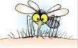 How To Get Rid van een muggenbeet