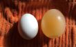 How To Grow een ei met behulp van osmose