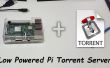 DIY Raspberry Pi Torrent Server