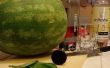 Meloen-Berry Refresher