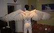 Hoe maak je een paar van Angel Wings