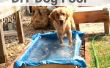 DIY hond zwembad