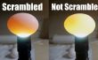 Hoe Scramble eieren binnen hun Shell - nieuwe versie