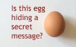 Het geheim achter de geheime boodschap ei