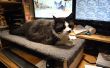 Anti-Keyboard Cat aanval Mat (AKCAM)