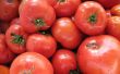 10 minuten druk Ingeblikte tomaten