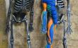 Spier anatomie met Sugru en een Halloween skelet