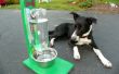 De Awesomest coolste gemakkelijkste waterschaal voor honden & katten! 