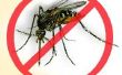 Knokkelkoorts insectenafweermiddel - Repelente para Mosquito da Dengue