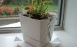 Gerecycled Takeout Container Planter