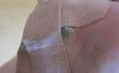 Splinter-in-voet bandage van noppenfolie