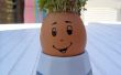 Kids project: Mister Sprout