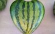 Een hart vorm watermeloen groeien