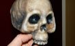 Goedkope dollaropslag kunststof schedels transformeren in hoge kwaliteit, realistisch uitziende Halloween props