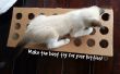 Maken van een stuk speelgoed voor uw kat met behulp van karton