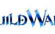 Guild Wars huid