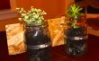 DIY Mason Jar plantenbakken